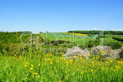 Frühlingslandschaft