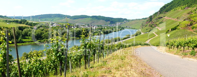 Erden an der Mosel