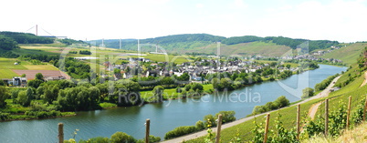 Moseltal bei Erden Panorama