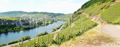 Moseltal bei Erden Panorama