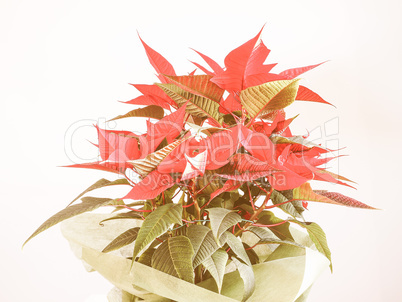 Retro looking Poinsettia Christmas star