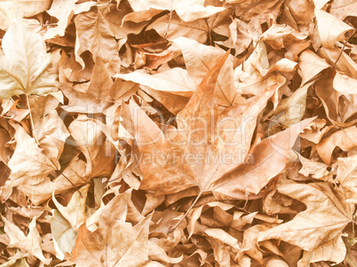 Retro looking Falling leaves