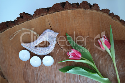 Bird on wooden background