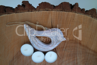 Bird on wooden background 2