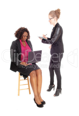 Two business woman working.