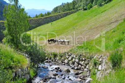 picturesque mountain valley, river and sky