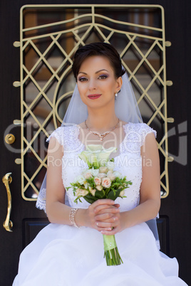Brunette bride in a beautiful white dress