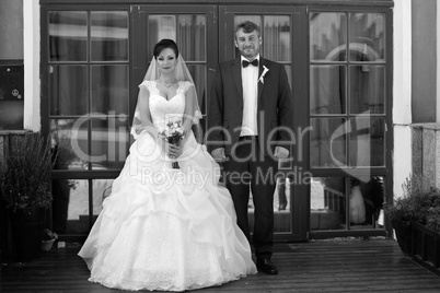 Wedding newlyweds kiss on a sunny day