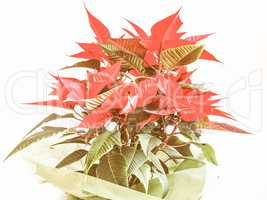 Retro looking Poinsettia Christmas star