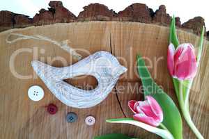 Bird on wooden background 6