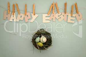 Happy Easter - nest with eggs