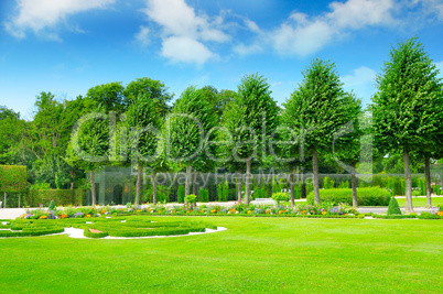 summer park with beautiful flowerbeds