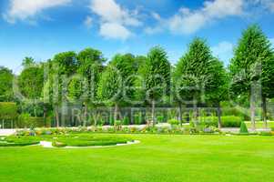 summer park with beautiful flowerbeds