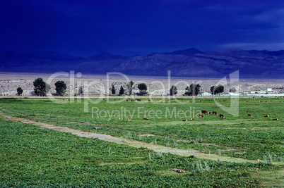 Meadow Valley, Nevada