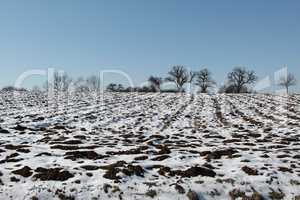 Winter Landscape