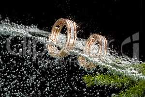 Golden Rings In The Water