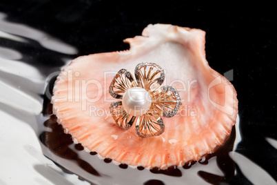 Ring And Shell