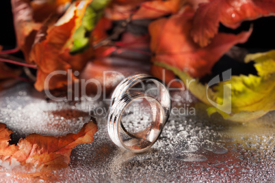 Rings And Autumn Leaves