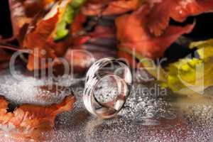 Rings And Autumn Leaves