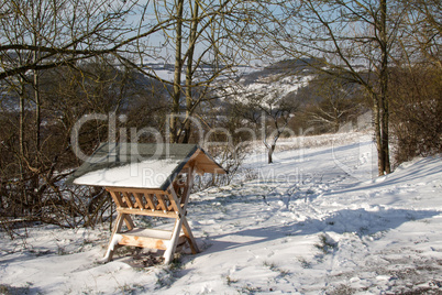 Winter Landscape