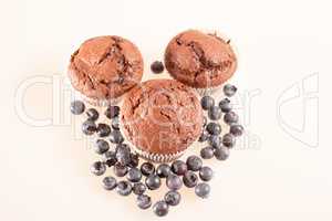 Schoko Muffin mit Heidelbeeren