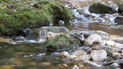 mountain stream nature scene