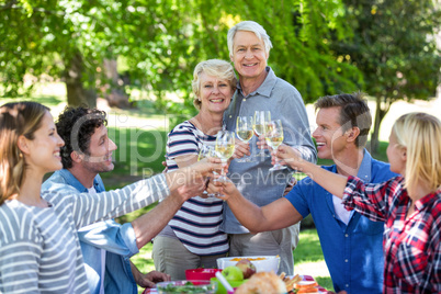 Friends having a picnic with wine