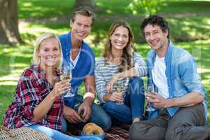 Friends having a picnic with wine