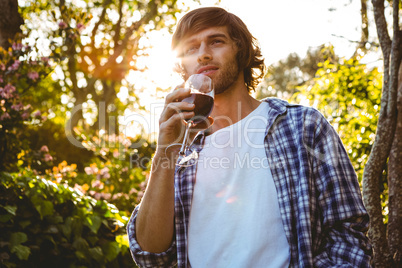 Serious man drinking red wine Serious man drinking red wine