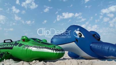 Dolphin and crocodile on the beach