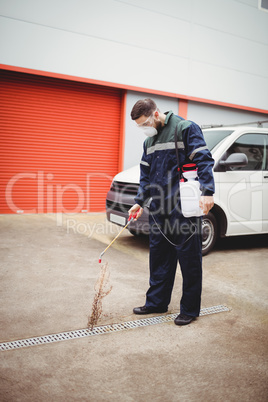 Handyman with insecticide