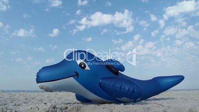 Dolphin on the beach