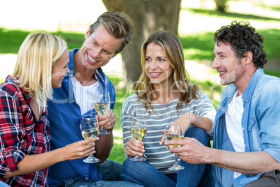 Friends having a picnic with wine