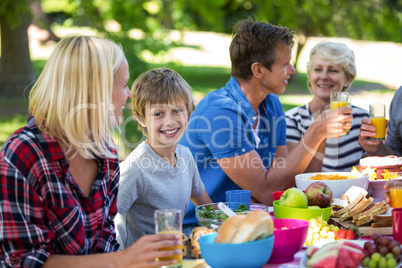 Family having a picnic