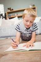 Close-up of boy writing in book at home