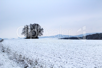 Snowy winter landscape