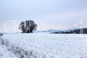 Snowy winter landscape