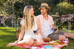 Happy couple having a picnic