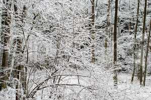 Snowy winter landscape