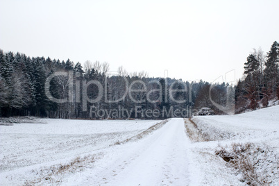 Snowy winter landscape