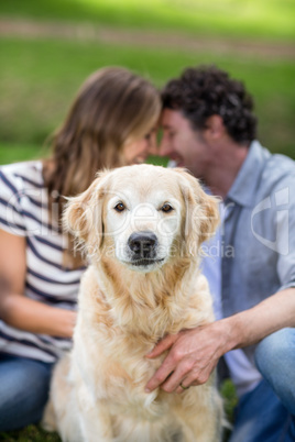 Couple with their dog in the park