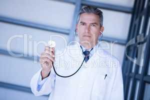 Portrait of male doctor showing stethoscope