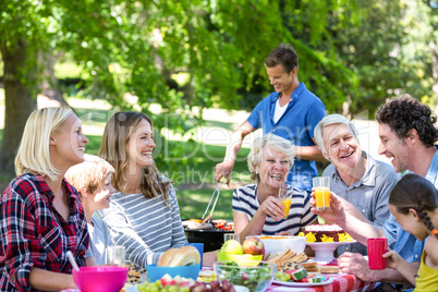 Family and friends having a picnic with barbecue