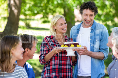 Friends having a picnic with cake