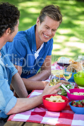 Friends having a picnic with wine