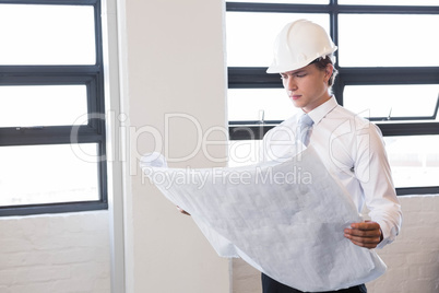 Architect looking at blueprint