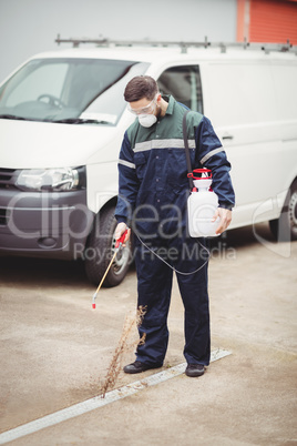 Handyman with insecticide