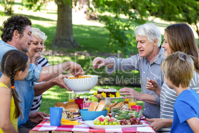 Family having a picnic