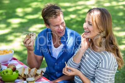 Friends having a picnic