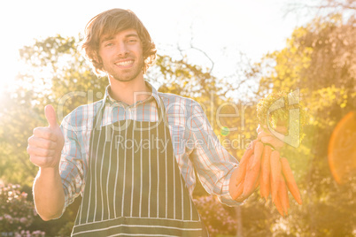 Gardener man holding a bunch of carrots and showing a thumbs up